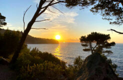 Manifest Your Magic – Retreat 4 – 8 Mai 2023, with Marie